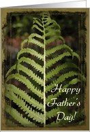 Happy Father’s Day - Green Fern Frond card