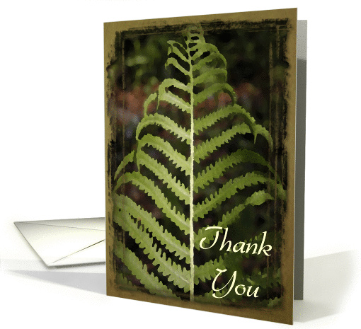 Thank You - Green Fern Frond card (191229)