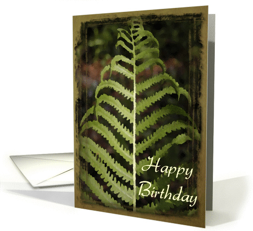 Happy Birthday - Miss You - Green Fern Frond card (191233)