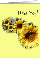 Miss You - Sunflowers in a Row card