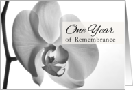 One Year Death Anniversary Orchid Sympathy