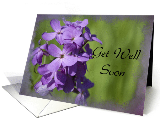 Get Well Soon - Purple Wildflowers card (205518)