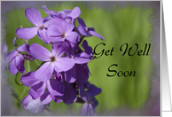 Get Well Soon - Purple Wildflowers card