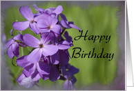 Happy Birthday - Purple Wildflowers card