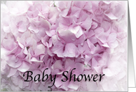 Girl Baby Shower - Pink Hydrangea Flower card