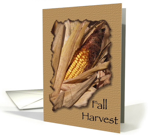 Thanksgiving / Fall Harvest Dinner Invitation card (224032)