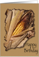 Happy Birthday - Thanksgiving card