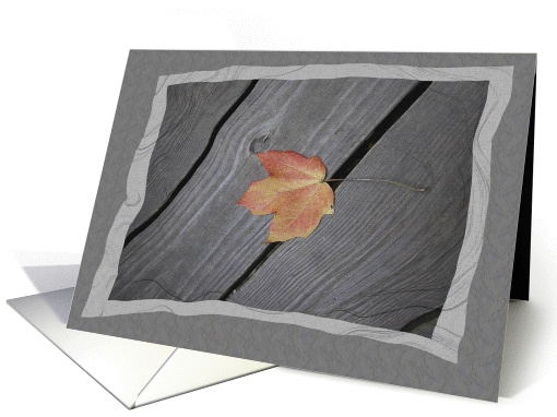 Single Fall Leaf Blank Note card (224249)