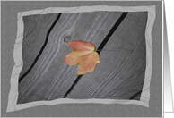 Single Fall Leaf Blank Note Card