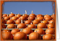 Orange Pumpkins in a Row - Blank Note Card