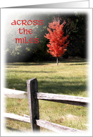 Happy Thanksgiving - Across the Miles - Red Tree card