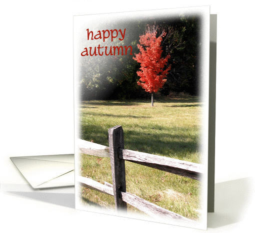 Happy Autumn - Red Fall Tree card (240503)