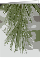 Icy Pine Needles - Blank Note Card