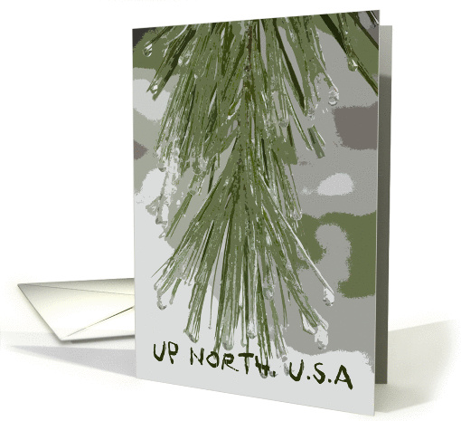 Up North, U.S.A. - Icy Pine Needles card (240811)