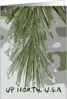 Up North, U.S.A. - Icy Pine Needles card