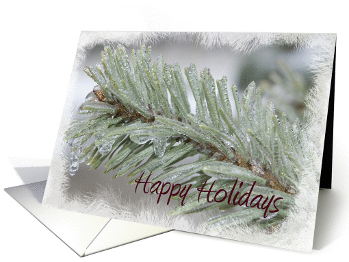 Happy Holidays - Icy Pine card (241710)