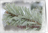 Happy Holidays - Icy Pine card