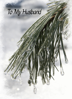 Icy Pines Happy...
