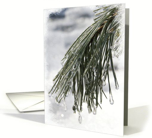 Icy Pine Needles - Blank Note card (242542)