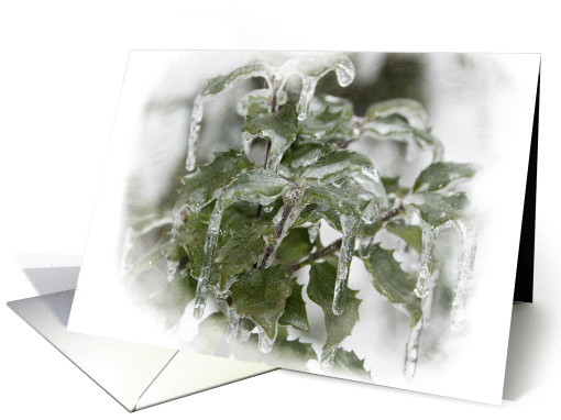 Happy Holly Days Christmas card (247617)