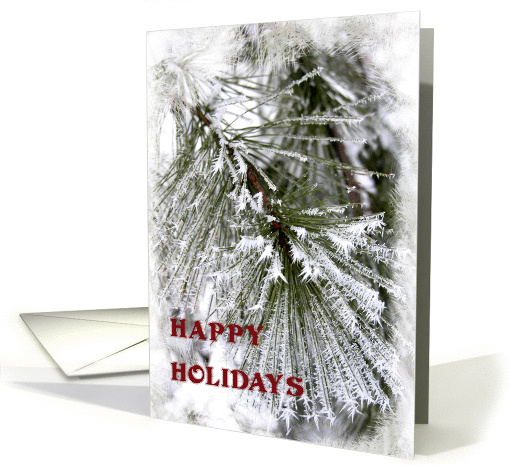 Happy Holidays - Frosty Pine Branch card (260104)