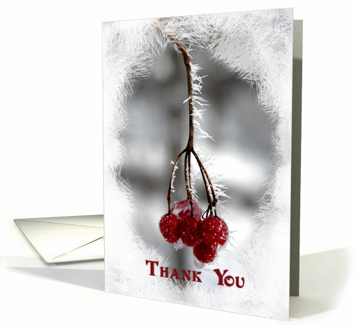 Thank You - Frosty Red Berries card (260110)