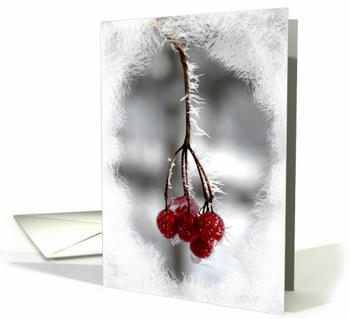 Christmas Birthday - Frosty Red Berries card (260112)