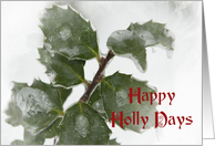 Happy Holly Days - Christmas Card