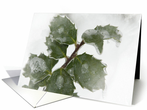 Icy Holly - Blank Note card (261777)