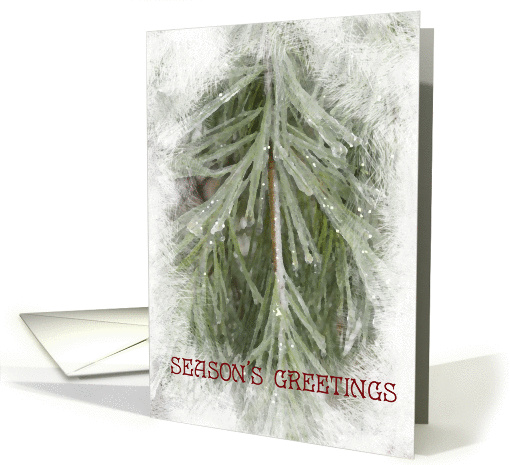 Icy Pines Season's Greetings - Thank You for Your Business card