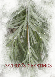 Icy Pines Season's...