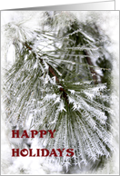 Snowy Pines Happy Holidays - Thank You for Your Business card