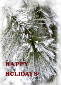 Snowy Pines Happy...