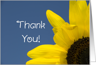 Thank You - Yellow Sunflower card