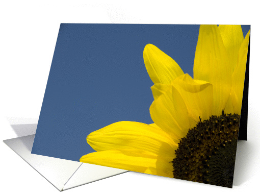 Blank Note Cards - Yellow Sunflower card (266042)