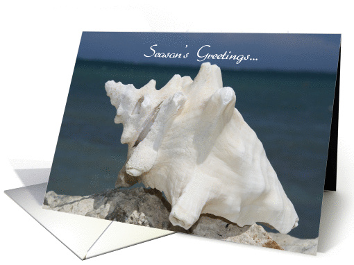 Season's Greetings From the Beach Conch Shell card (266695)