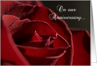 Wedding Anniversary - Red Rose Flower card