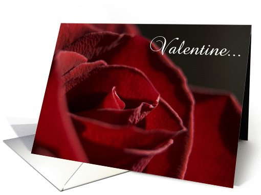 Valentine's Day - Red Rose Flower card (336525)