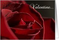 Valentine’s Day - Red Rose Flower card