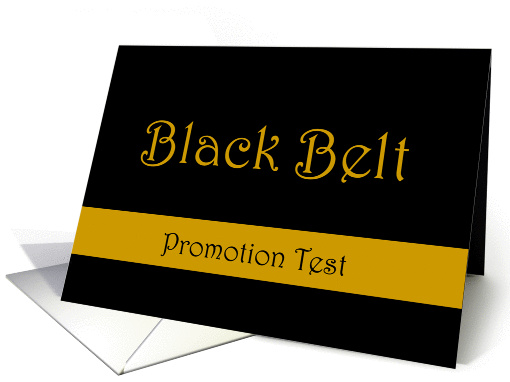 Martial Arts Black Belt Promotion Test Invitation card (339928)