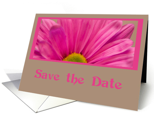 Wedding Save the Date Announcement - Pink Daisy Flower card (347578)