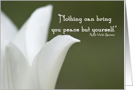 Peace - Inspirational Quote - White Tulip card