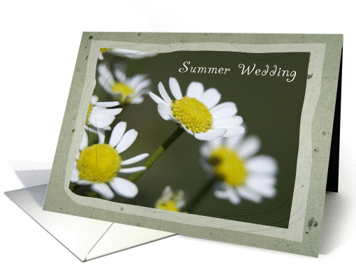 Summer Wedding Save the Date Announcement - White Daisies card