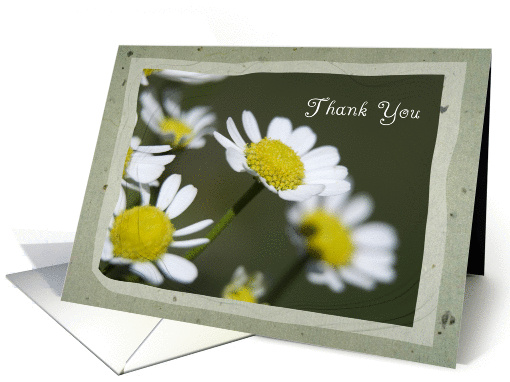 Thank You - White Daisies card (377611)
