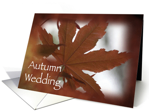 Autumn Wedding Save the Date Japanese Maple Leaves card (379034)