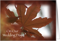 On Our Wedding Day - Fall Japanese Maple card