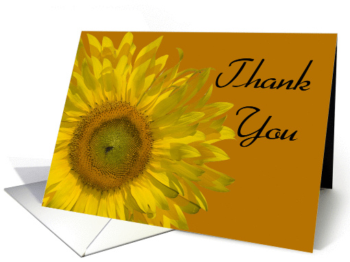 Yellow Sunflower on Orange Thank You Note card (382044)