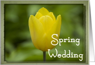 Spring Wedding Announcement - Yellow Tulip card