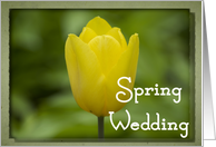 Spring Wedding...