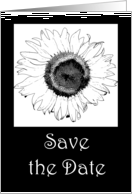 Wedding Save the Date Announcement - Black and White Sunflower card